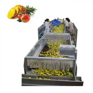 Pineapple & Coconut Belt Squeezer, 5–50 T/H