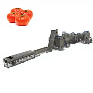 6 T/H Concentrated Tomato Paste Plant