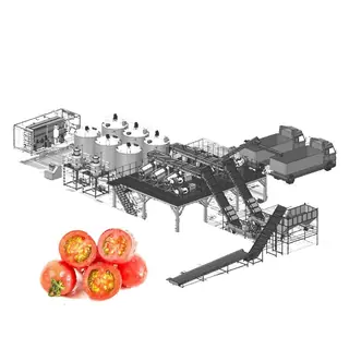 100–1500 TPD Tomato Paste Processing Line