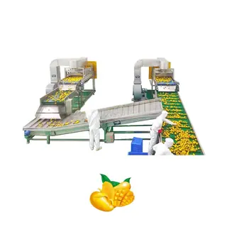 Apple and Pear Juice Processing Plant