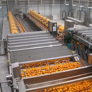 Automatic Apple Juice Production Line