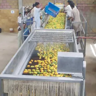 Mango & Pineapple Juice Production Line
